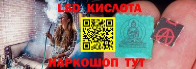 гашик Кингисепп
