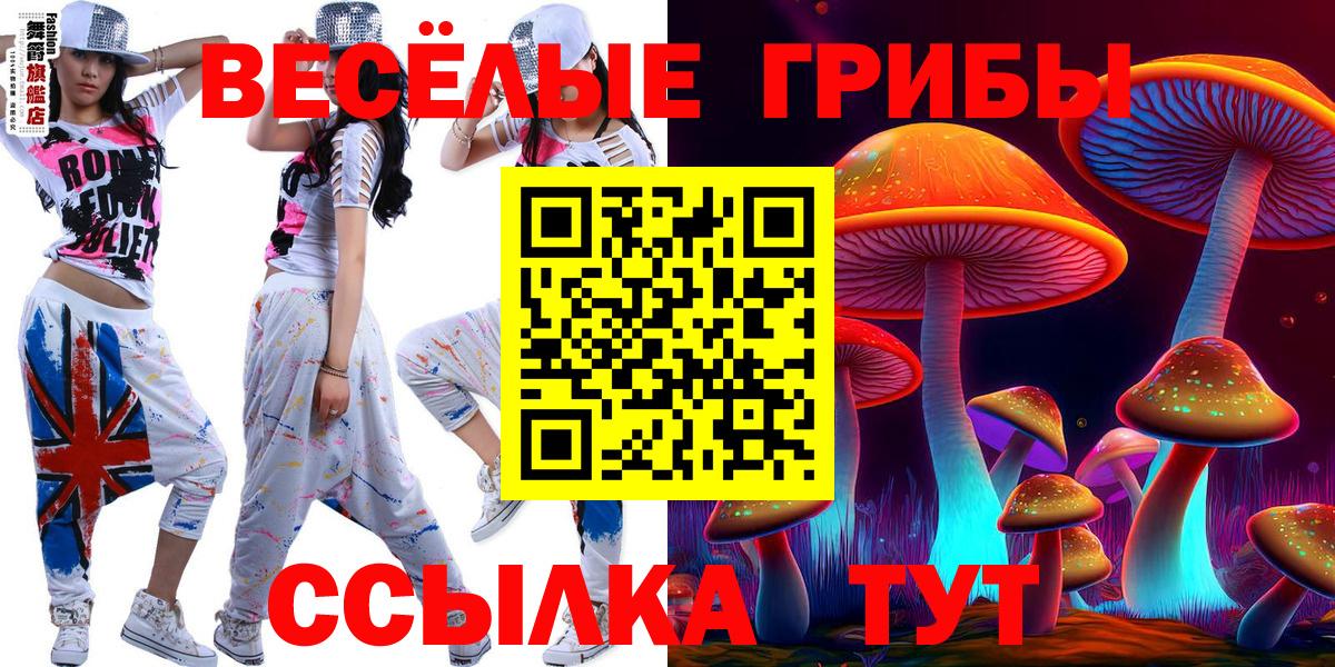 Галлюциногенные грибы Magic Shrooms  Галлюциногенные грибы Magic Shrooms  Вход с VPN  Сосновый Бор 