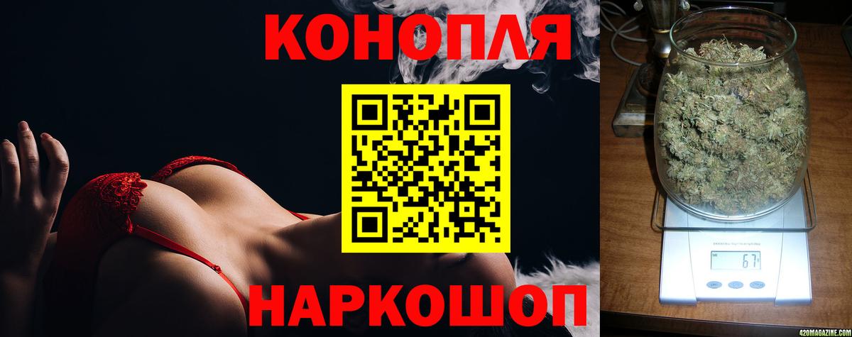 Канабис сатива Сосновый Бор